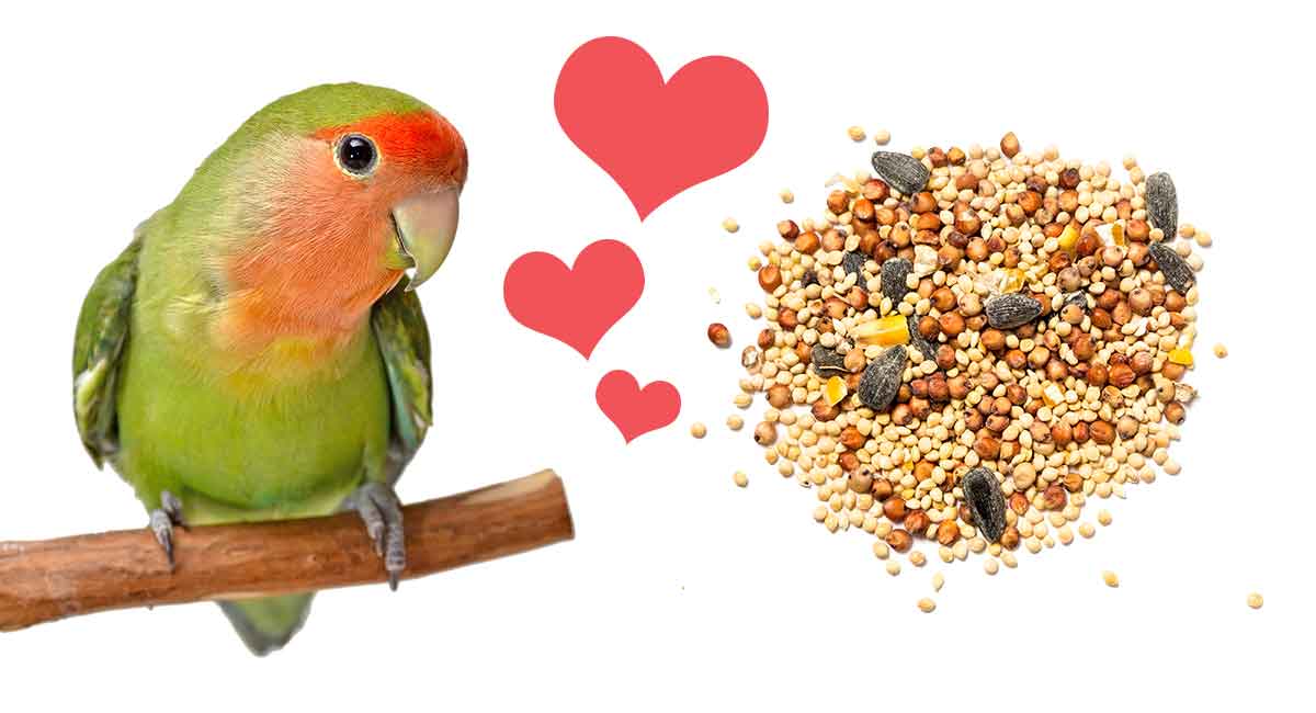 Seed mix For Lovebirds 1 kg